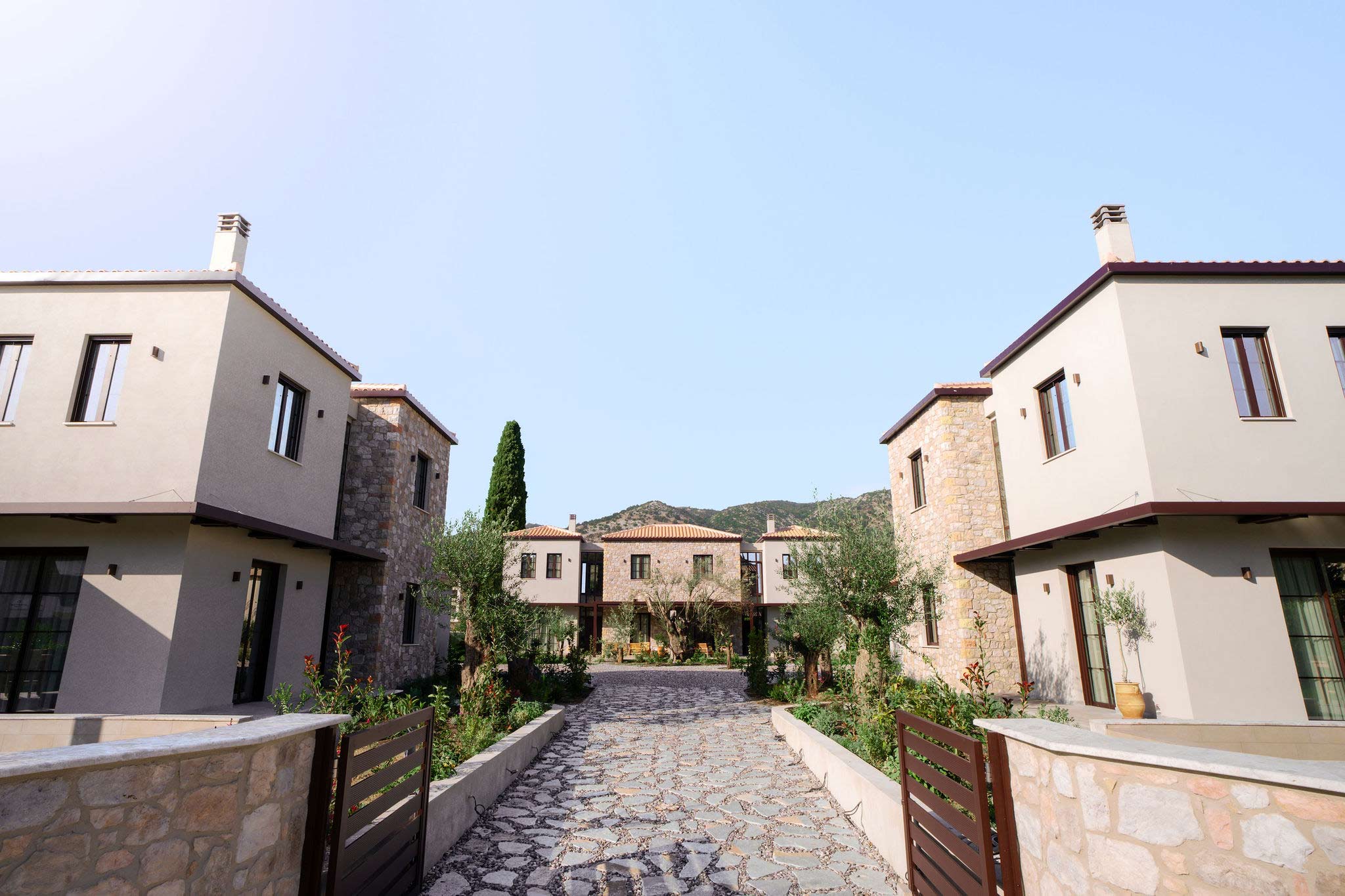Beautifully landscaped yard featuring indigenous trees and stylish garden decor